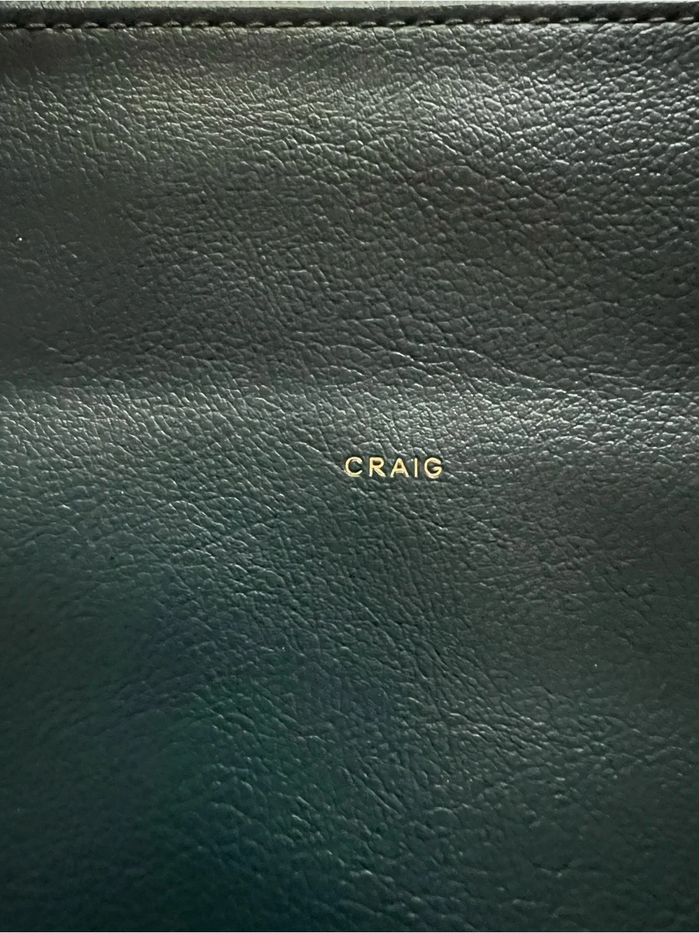 DELFONICS CRAIG Fold-Over Carrying Case with Gold Hardware
